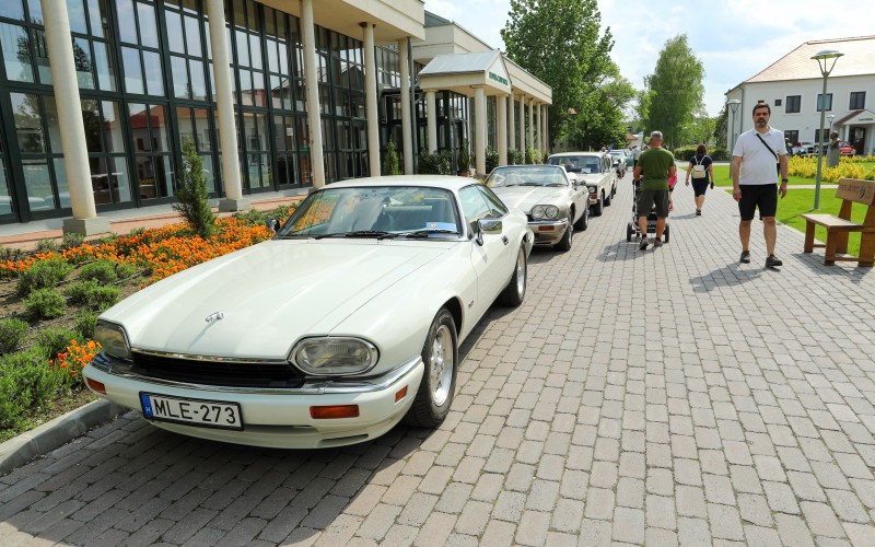 MP1X3546