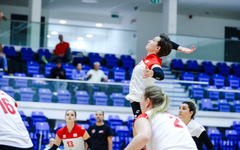 MDX31023
