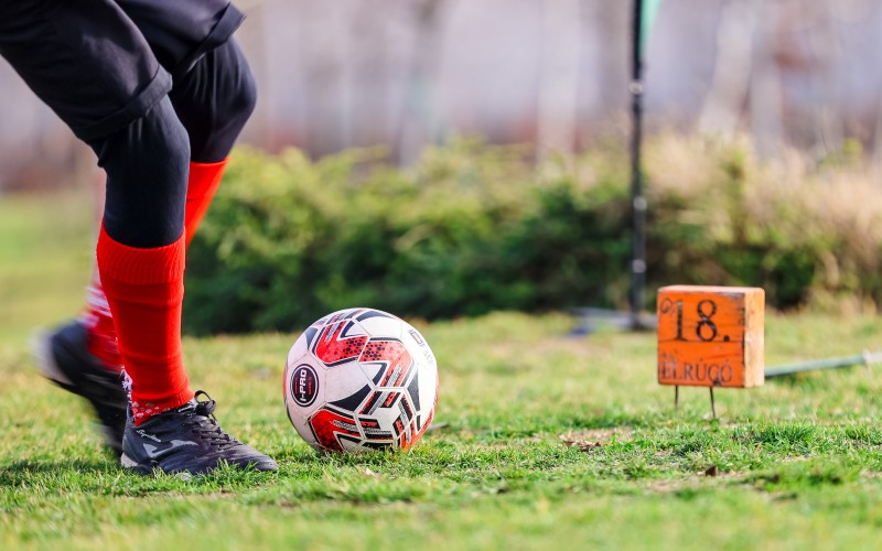 MDX36665